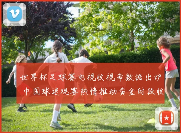世界杯足球赛电视收视率数据出炉 中国球迷观赛热情推动黄金时段收视攀升