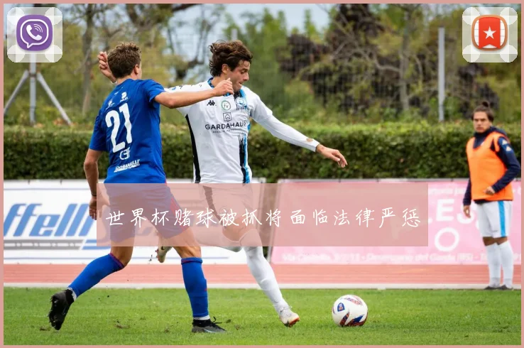 世界杯赌球被抓将面临法律严惩