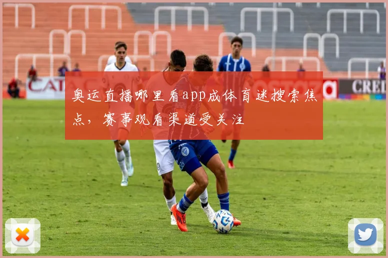 奥运直播哪里看app成体育迷搜索焦点,赛事观看渠道受关注